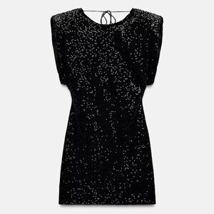 Zara Black Sequin Velvet Dress